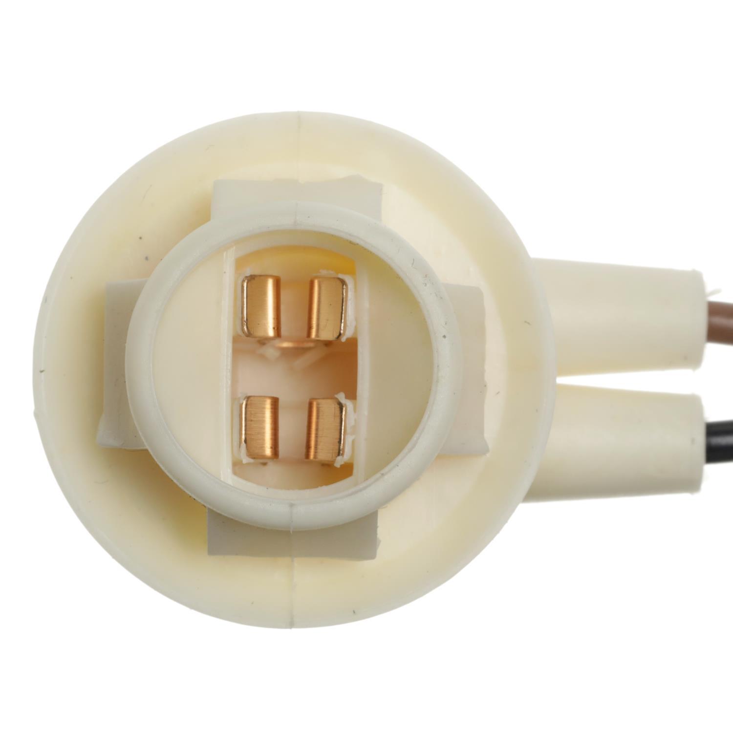 BWD PT76 - Tail Lamp Socket BWD PT76 Back Up Light Socket product image 6 of 8