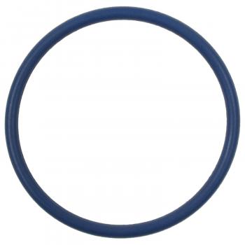 BWD RGD13 - Fuel Pump O-Ring BWD RGD13 Fuel Pump O-Ring product image 1 of 1