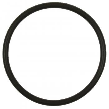 BWD RGD21 Fuel Pump O-Ring product image 1 of 1