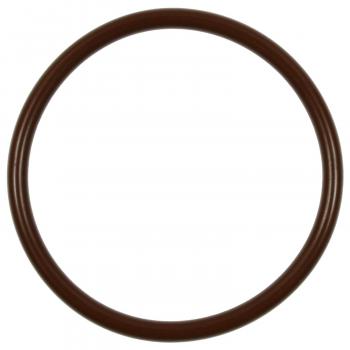 BWD RGD22 Fuel Pump O-Ring product image 1 of 1
