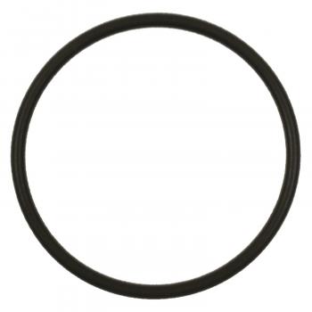 BWD RGD24 - Fuel Pump O-Ring BWD RGD24 Fuel Pump O-Ring product image 1 of 1