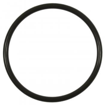 BWD RGD43 Fuel Pump O-Ring product image 1 of 2