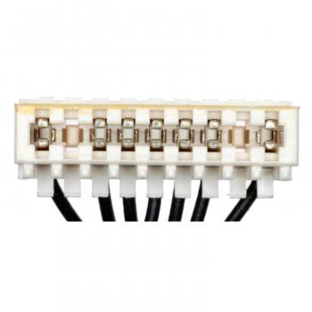 BWD S16067 Cruise Control Switch product image 5 of 7