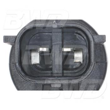BWD S4195 Engine Oil Pressure Switch product image 3 of 5
