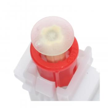 BWD S51062 Clutch Starter Safety Switch product image 1 of 3