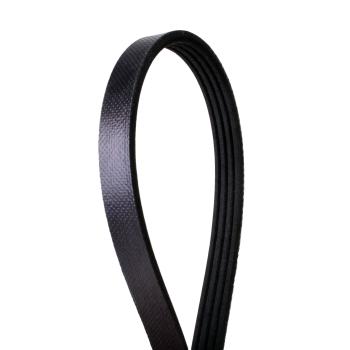 Continental 4040423 Serpentine Belt product image 1 of 1