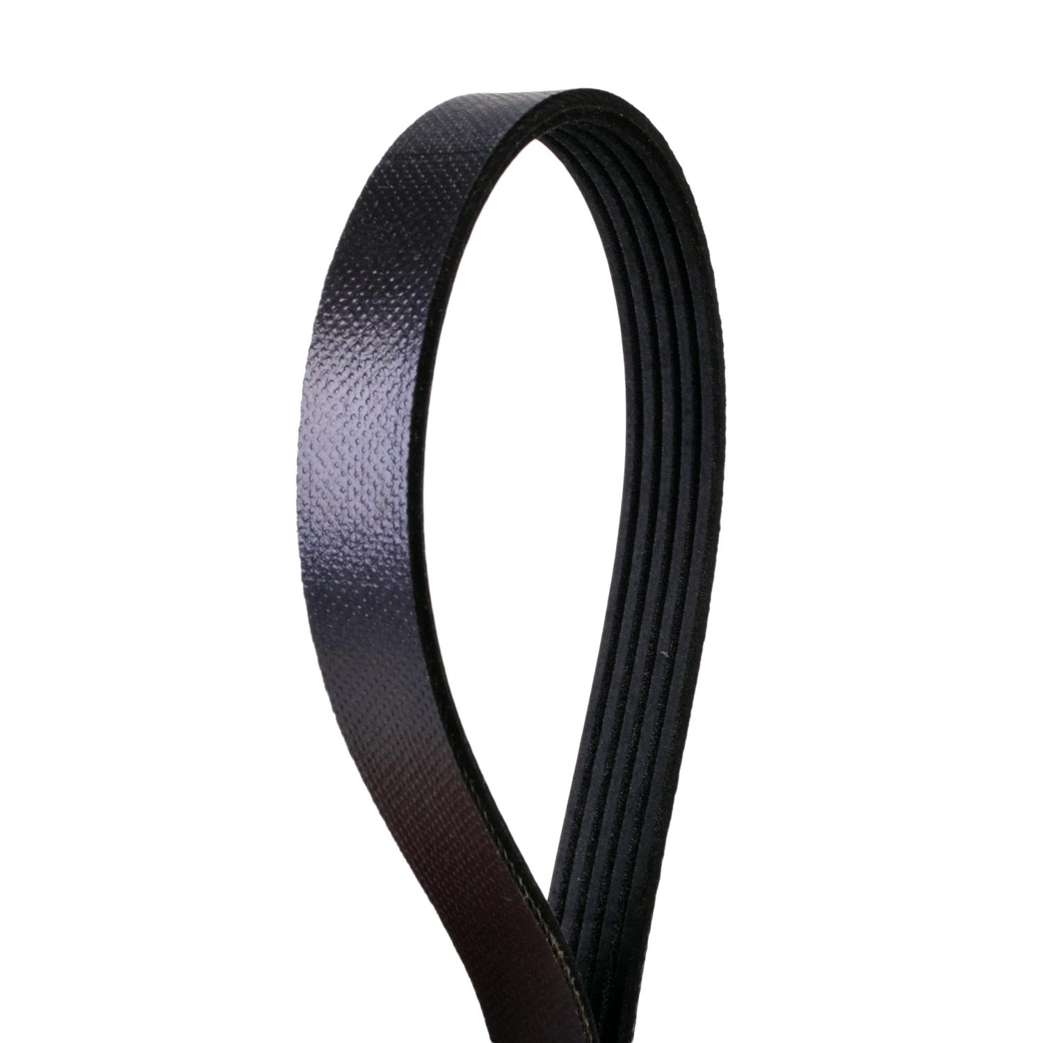 Continental 4050570 - Serpentine Belt Continental 4050570 Serpentine Belt product image 1 of 1
