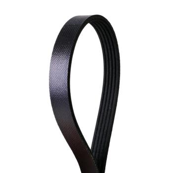 Continental 4050612 - Serpentine Belt Continental 4050612 Serpentine Belt product image 1 of 1