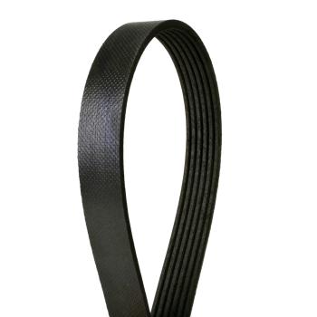 Continental 4061373F Serpentine Belt product image 1 of 1