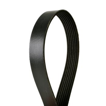Continental 4070622 Serpentine Belt product image 1 of 1