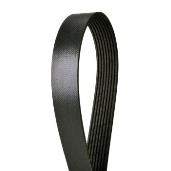 Continental 4080600 Serpentine Belt product image 1 of 1
