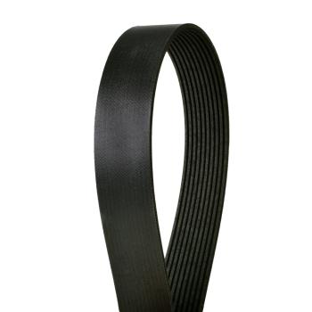 Continental 4100846 Serpentine Belt product image 1 of 1