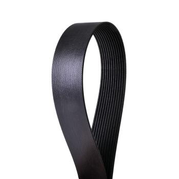 Continental 4120825 Serpentine Belt product image 1 of 1