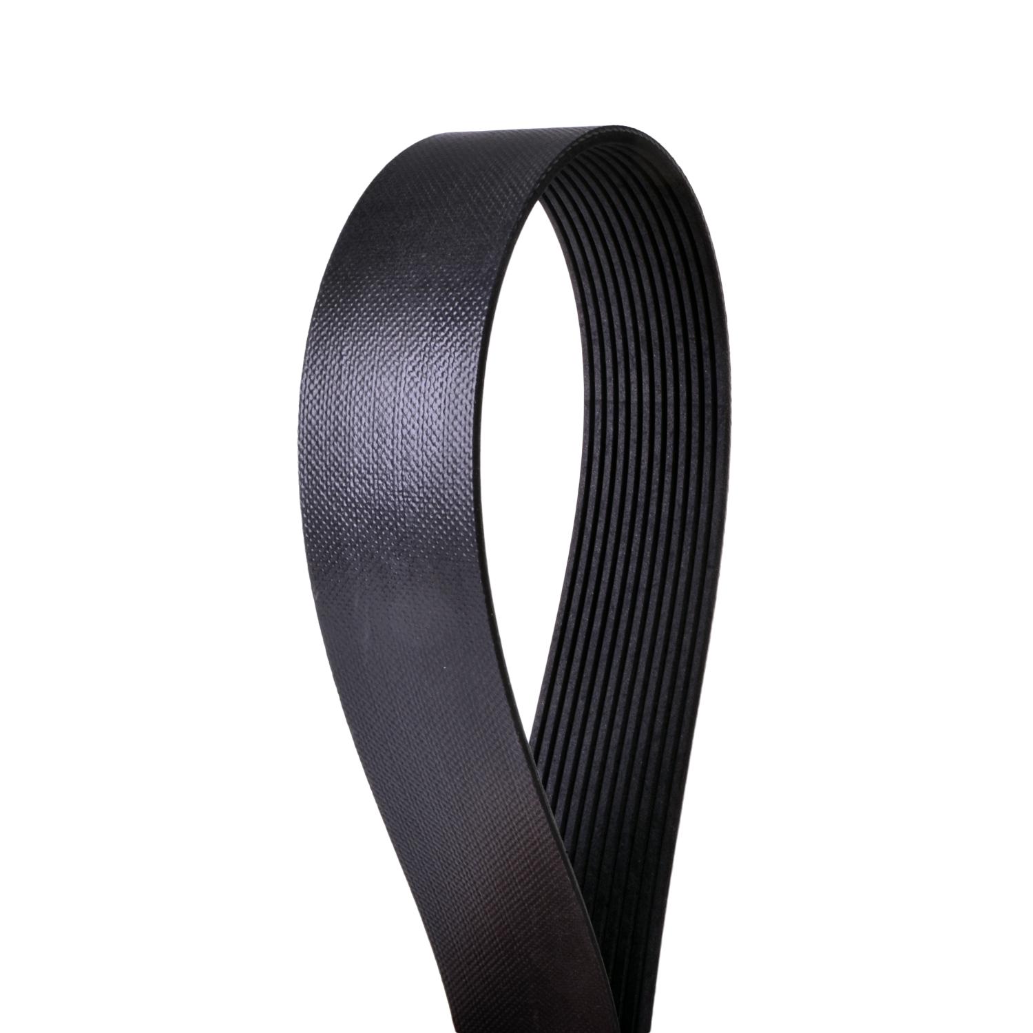 Continental 4120895 - Serpentine Belt Continental 4120895 Serpentine Belt product image 1 of 1