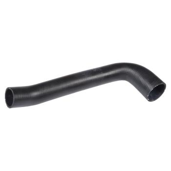Continental 62081 Radiator Coolant Hose product image 1 of 1