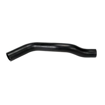 Continental 62449 Radiator Coolant Hose product image 1 of 1