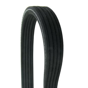 Continental D4050610 Serpentine Belt product image 1 of 1