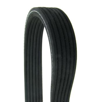 Continental D4060973 Serpentine Belt product image 1 of 1