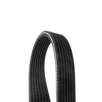Continental D4070536 Serpentine Belt product image 1 of 1