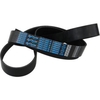 Dayco 5100840SC - Serpentine Belt Dayco 5100840SC Serpentine Belt product image 1 of 2