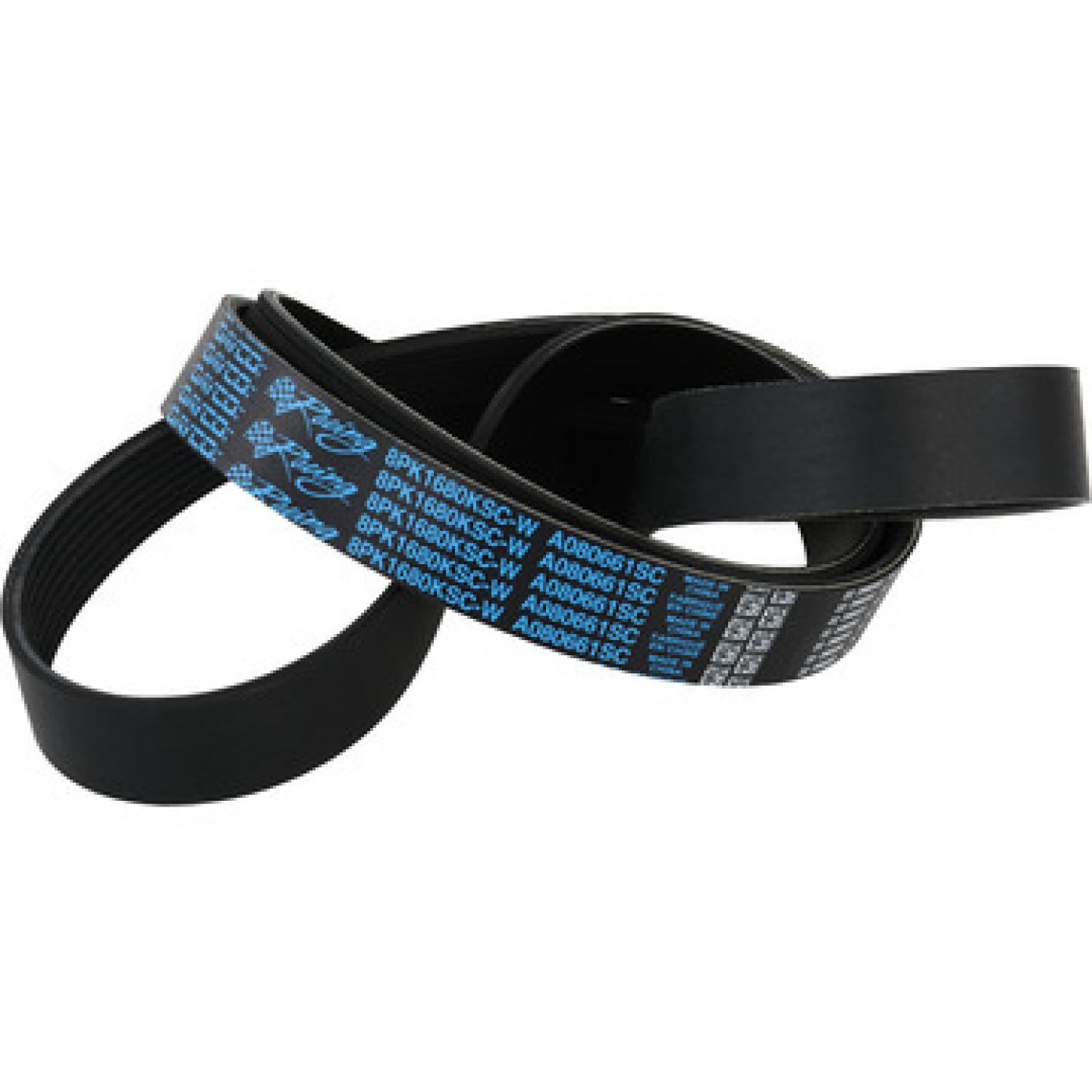 Dayco A080661SC Serpentine Belt product image 1 of 2
