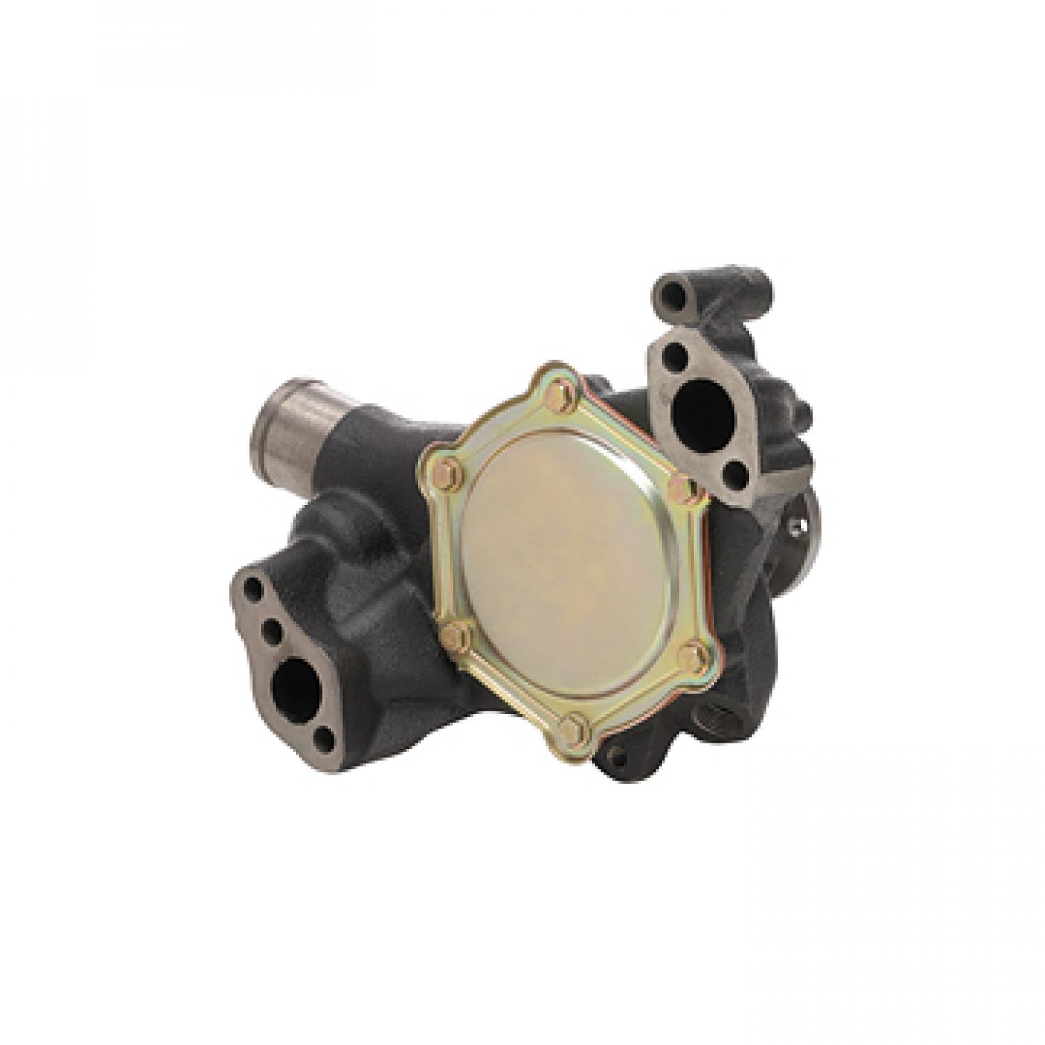 Dayco DP10031 Engine Water Pump product image 1 of 3