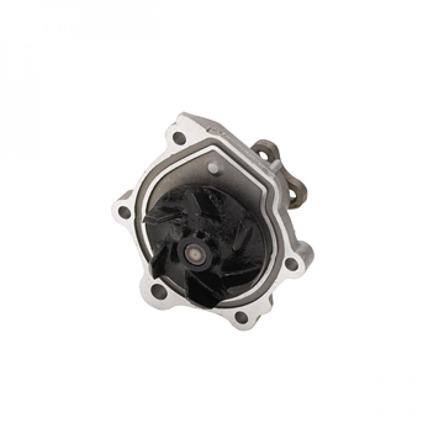 Dayco DP1099 Engine Water Pump product image 1 of 3