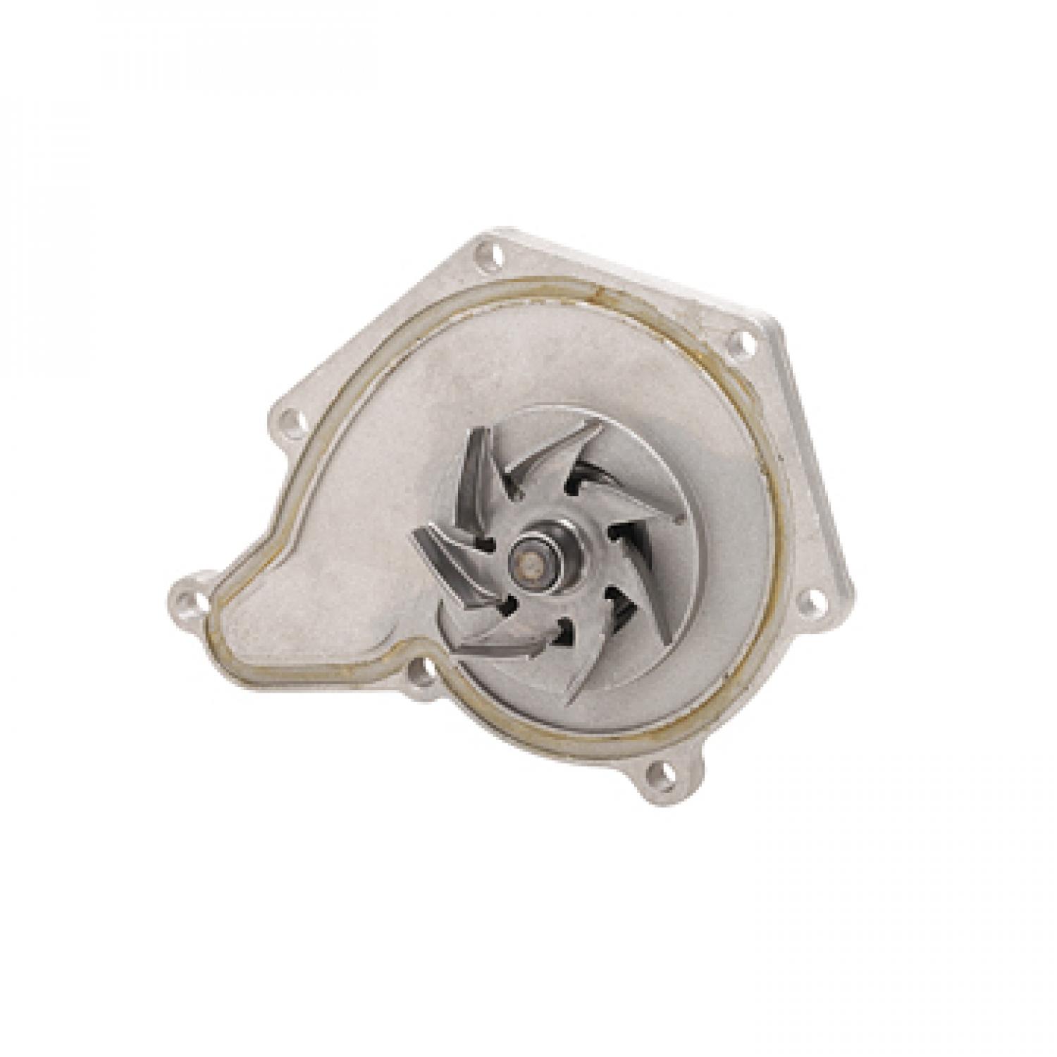 Dayco DP1252 - Engine Water Pump Dayco DP1252 Engine Water Pump product image 1 of 3