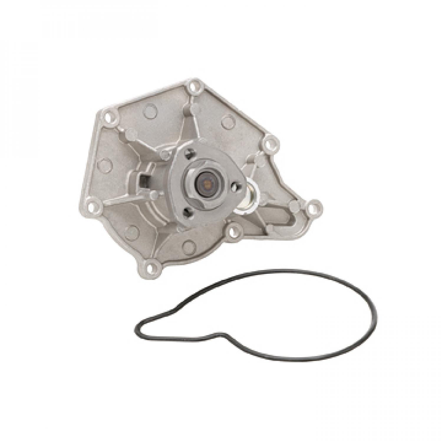 Dayco DP1252 - Engine Water Pump Dayco DP1252 Engine Water Pump product image 2 of 3