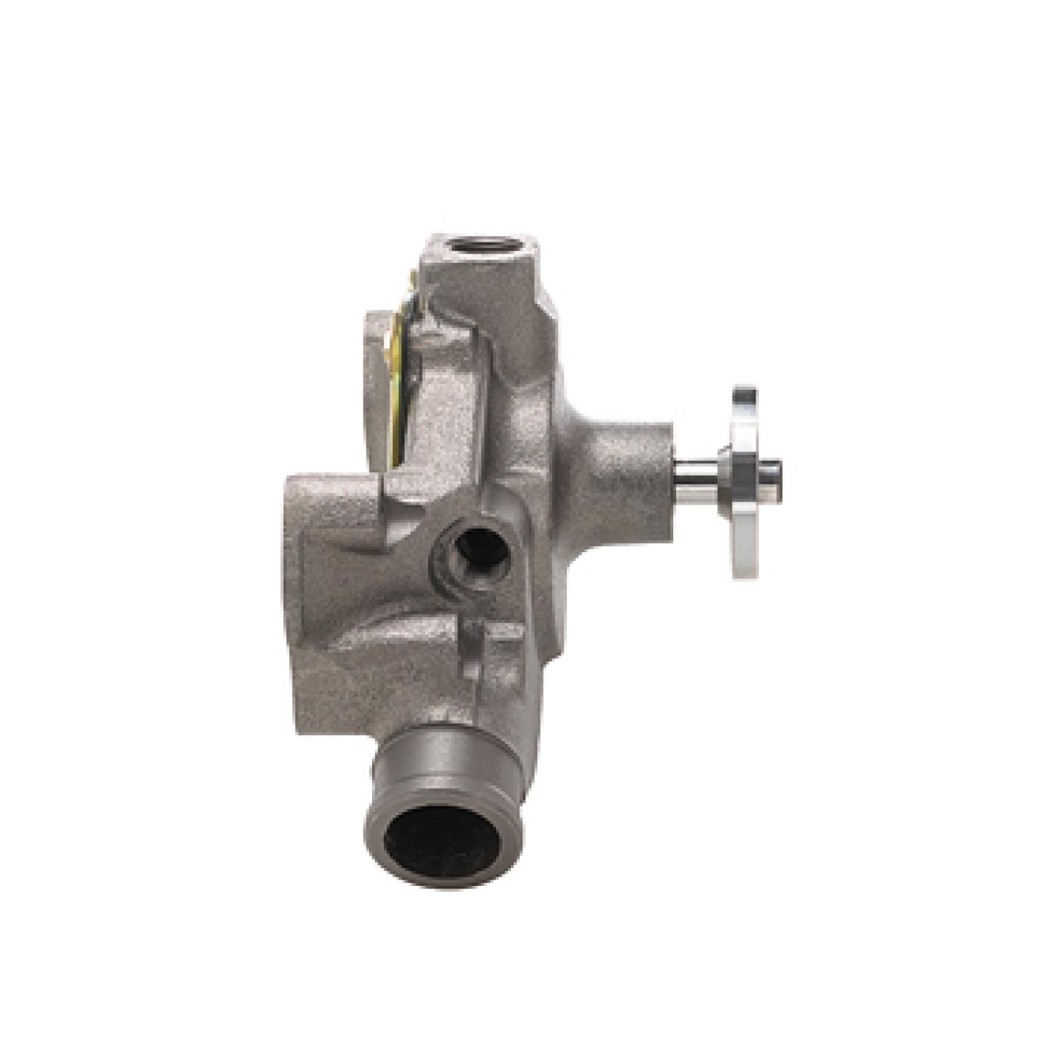 Dayco DP1313 Engine Water Pump product image 3 of 3
