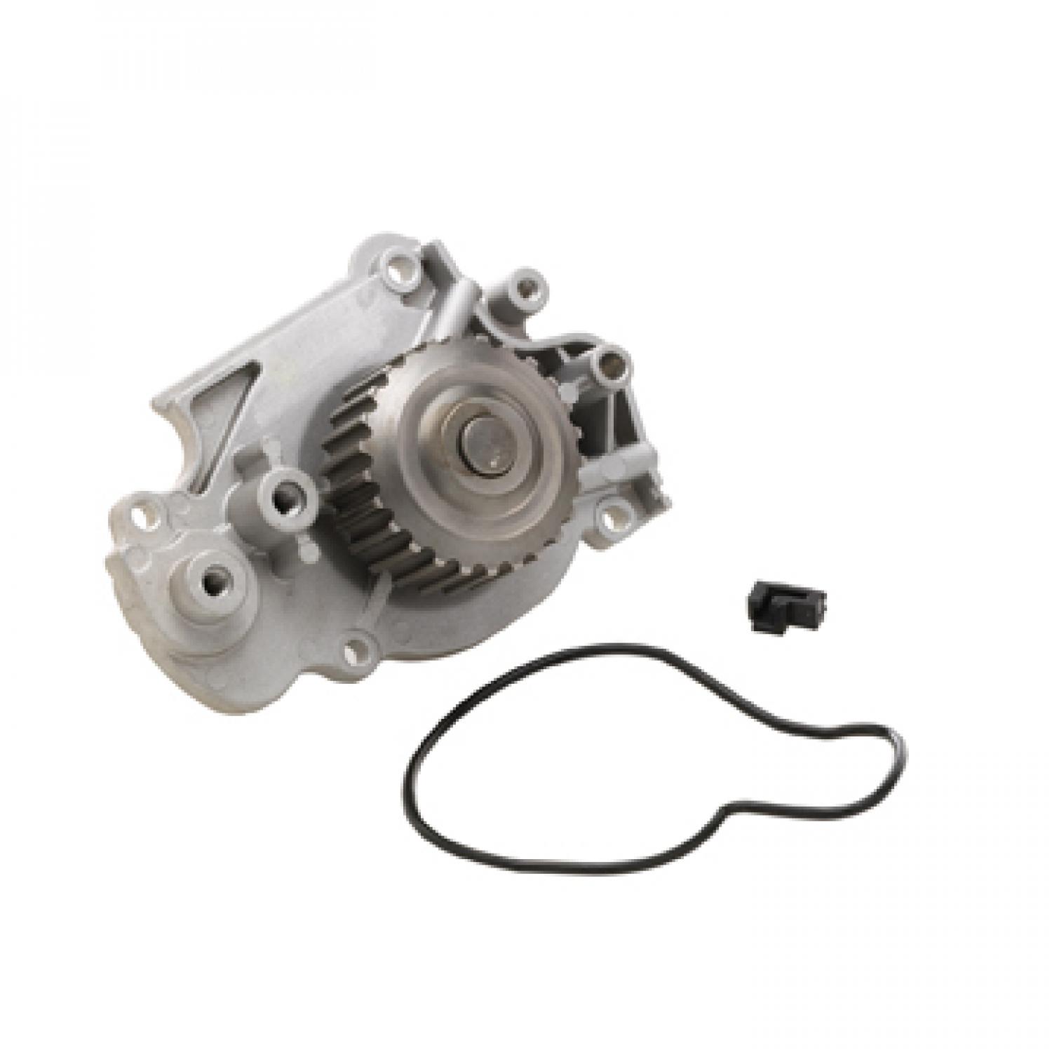 Dayco DP556 - Engine Water Pump Dayco DP556 Engine Water Pump product image 2 of 3
