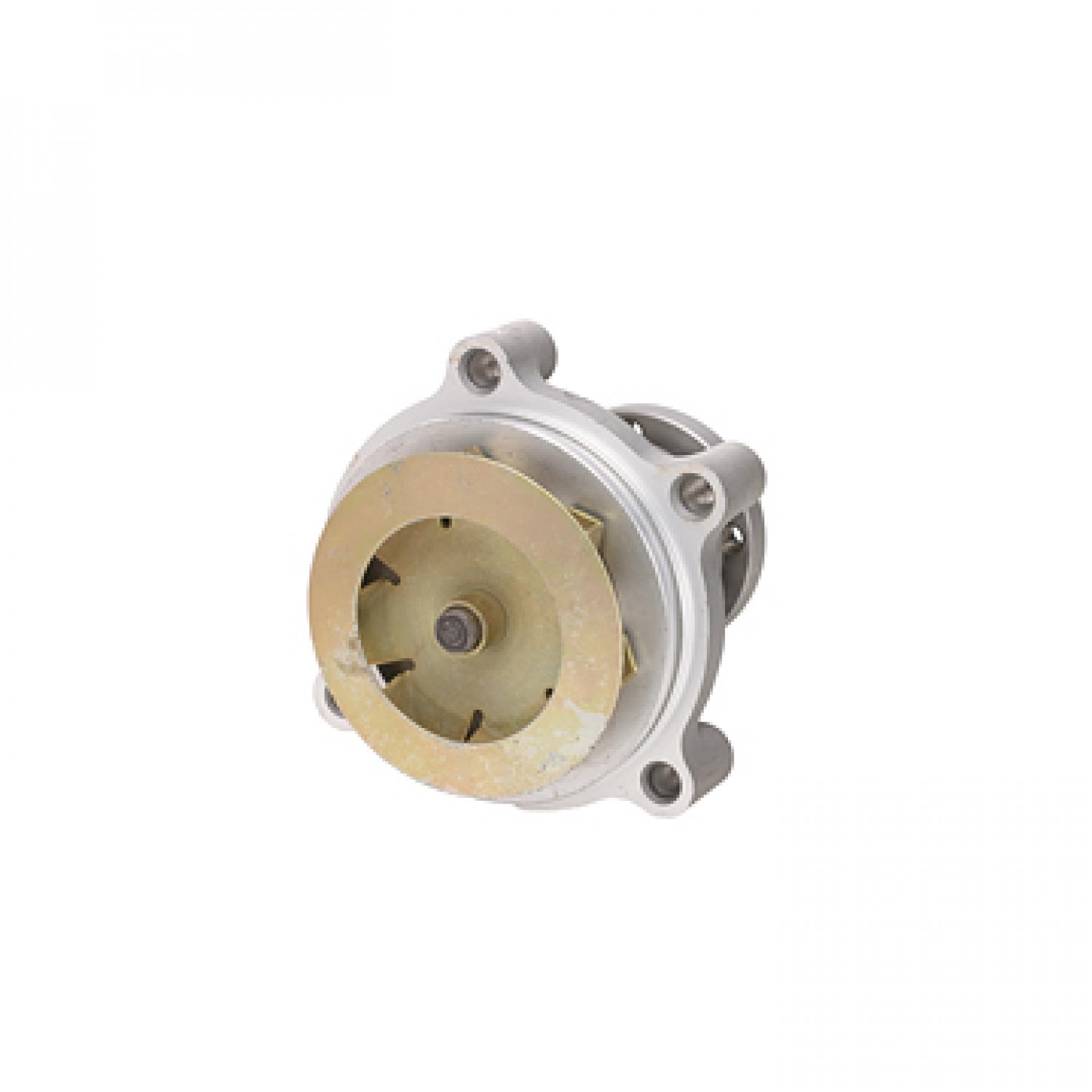 Dayco DP809 Engine Water Pump product image 1 of 3