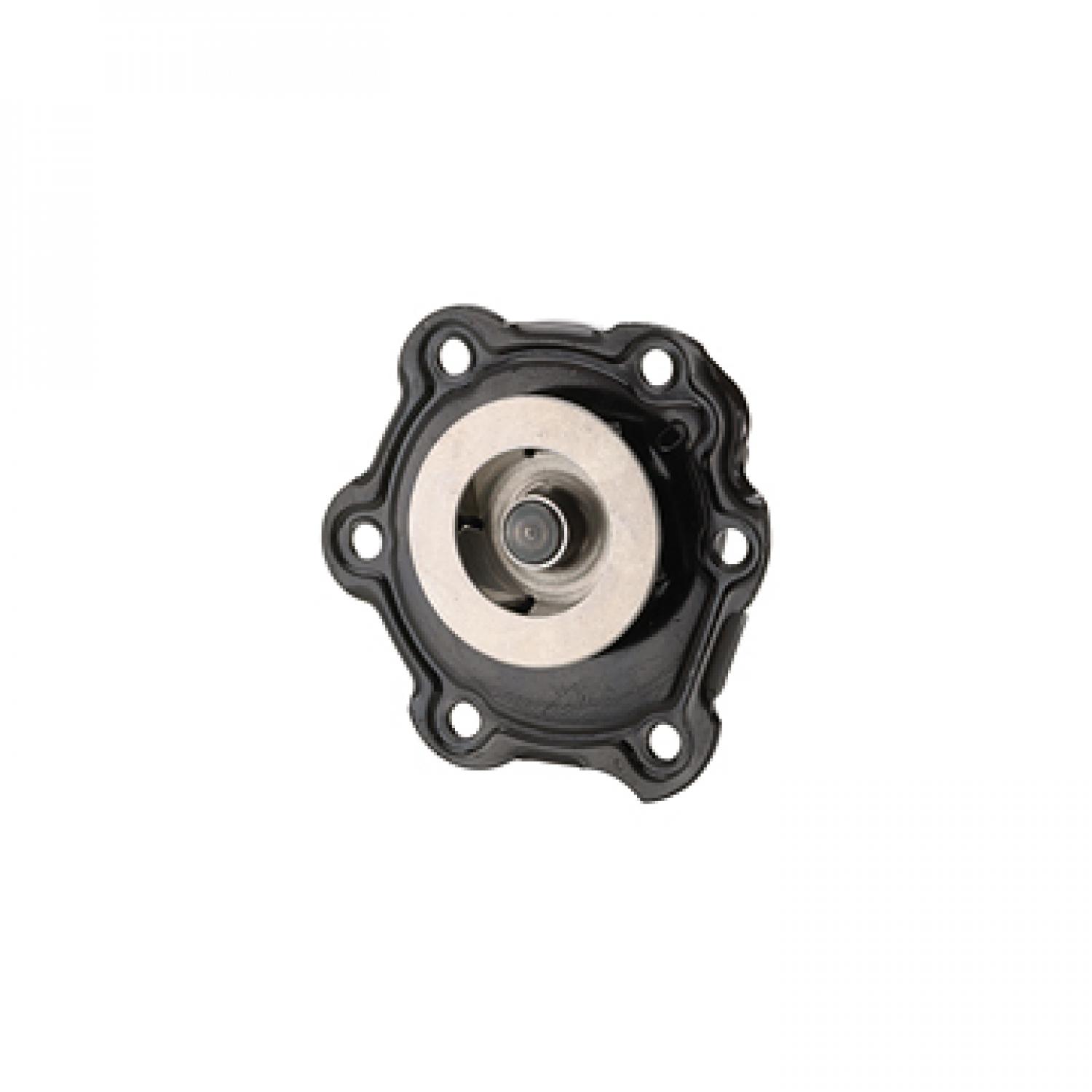 Dayco DP975 Engine Water Pump product image 1 of 3