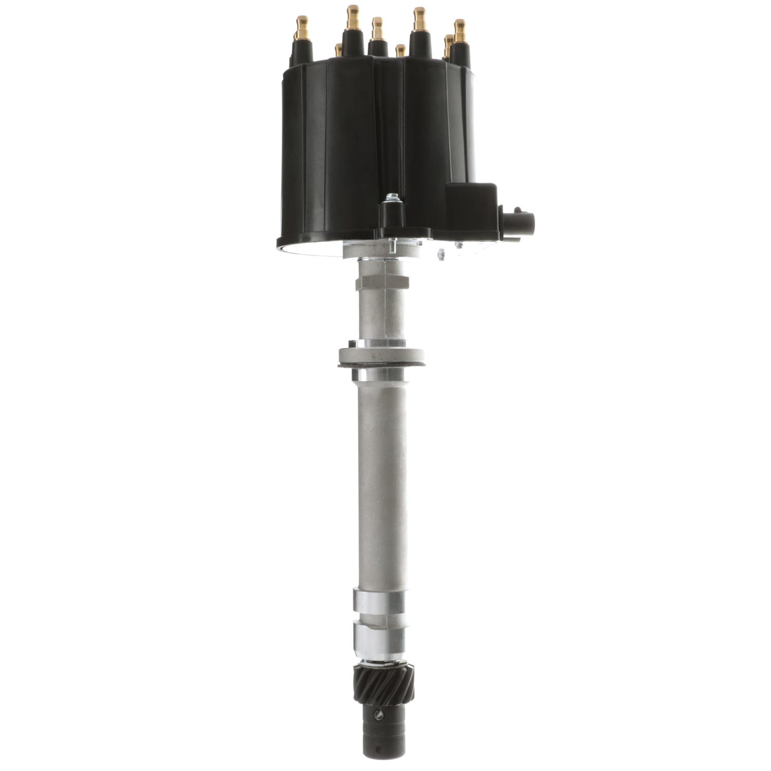 Delphi CZ20001 Distributor product image 10 of 10