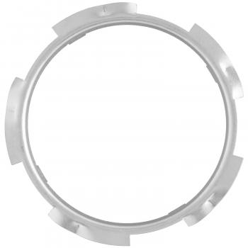 Delphi FA10008 Fuel Tank Lock Ring product image 2 of 2
