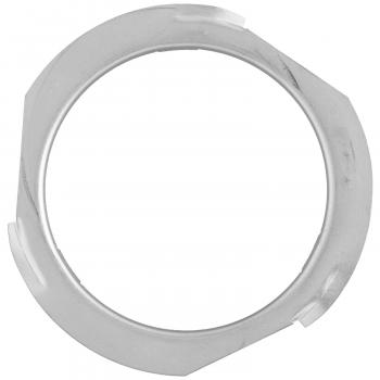 Delphi FA10010 Fuel Tank Lock Ring product image 2 of 2