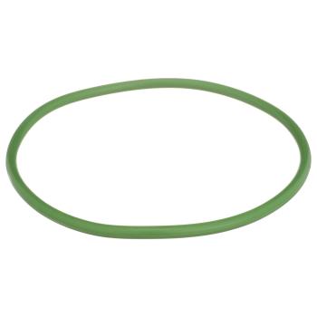 Delphi Fuel Pump Tank Seal product image