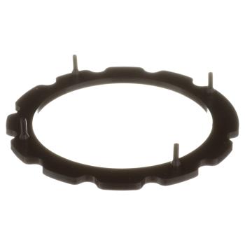 Delphi FA10034 Fuel Pump Tank Seal product image 1 of 7