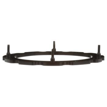 Delphi FA10034 Fuel Pump Tank Seal product image 2 of 7