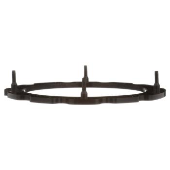 Delphi FA10034 Fuel Pump Tank Seal product image 4 of 7