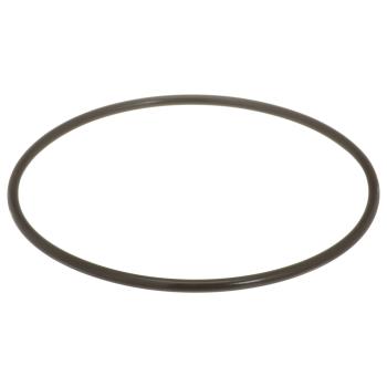 Delphi FA10036 - Fuel Pump Tank Seal Delphi FA10036 Fuel Pump Tank Seal product image 1 of 7