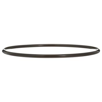Delphi FA10036 - Fuel Pump Tank Seal Delphi FA10036 Fuel Pump Tank Seal product image 2 of 7