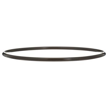 Delphi FA10036 - Fuel Pump Tank Seal Delphi FA10036 Fuel Pump Tank Seal product image 4 of 7