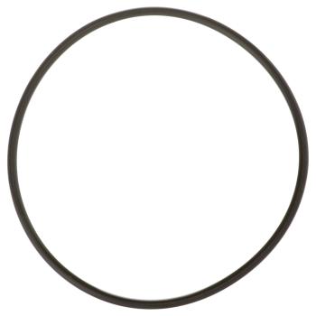 Delphi FA10036 - Fuel Pump Tank Seal Delphi FA10036 Fuel Pump Tank Seal product image 5 of 7