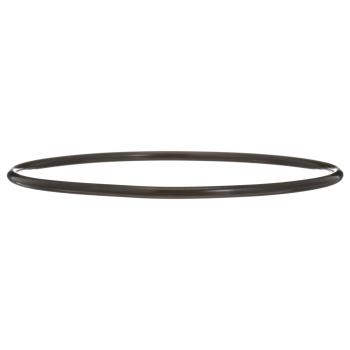 Delphi FA10036 - Fuel Pump Tank Seal Delphi FA10036 Fuel Pump Tank Seal product image 6 of 7