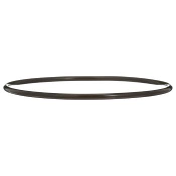 Delphi FA10036 - Fuel Pump Tank Seal Delphi FA10036 Fuel Pump Tank Seal product image 7 of 7