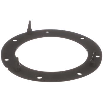 Delphi FA10038 Fuel Pump Tank Seal product image 1 of 8