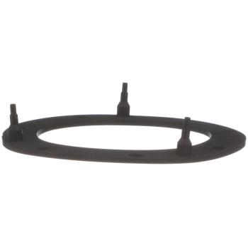 Delphi FA10038 Fuel Pump Tank Seal product image 4 of 8