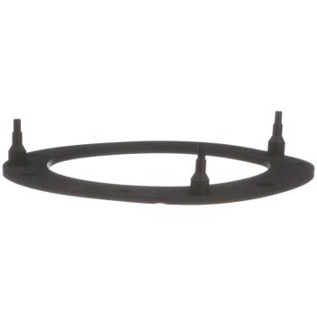 Delphi FA10038 Fuel Pump Tank Seal product image 7 of 8