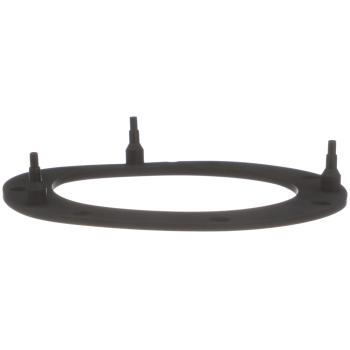 Delphi FA10038 Fuel Pump Tank Seal product image 8 of 8
